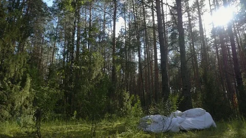 A white uncovered bed with pillows in the middle of a forest. Stock Footage 117725821