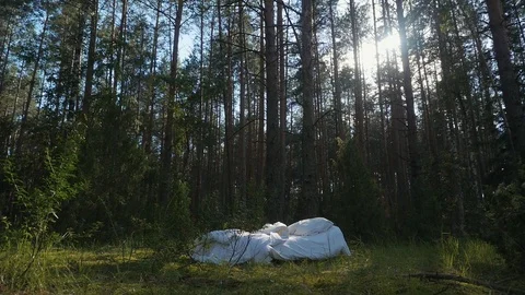 A white uncovered bed with pillows in the middle of a forest. Stock Footage 117725880