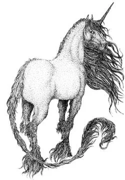 White unicorn with a developing mane Stock Illustration
