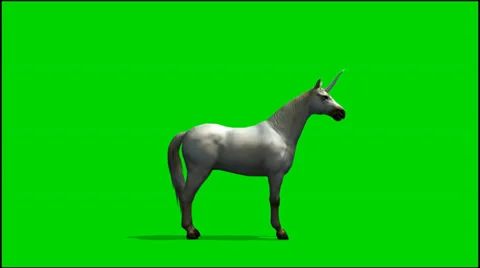 White Unicorn look around - separated on green screen Vidéo 33726759