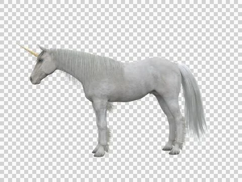 White unicorn standing side view. Fairytale creature 3d illustration isolated Stock Illustration