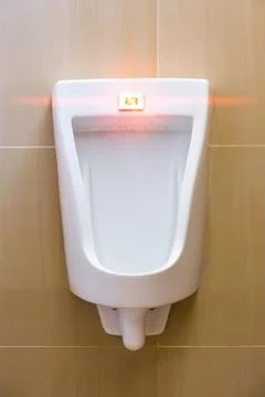 White Urinal 库存照片