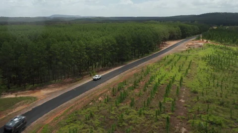 White Ute Passes Orange Ute Towing Caravan on Winding Forest Road Stock Footage 310462189