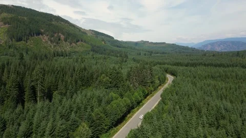 White van driving along forest highway on Vancouver Island with mountains Stock Footage 327604564