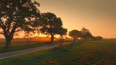 White van driving along a quiet tree-lined country road at golden sunset, with Stock Footage 346251097