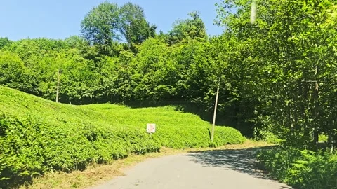 A white van driving down. Stock Footage 282981393