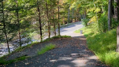 White Van Driving Past Asphalt Driveway Surrounded by Trees in Autumn Stock Footage 346913805