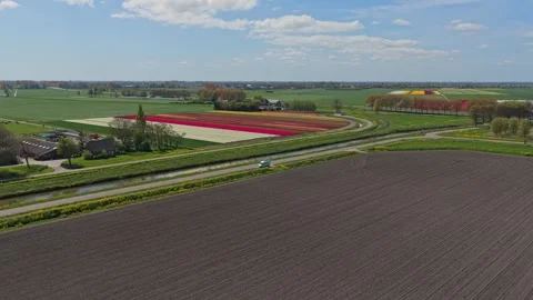 White van driving through dutch tulip fields and countryside Видео 341523909