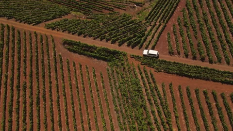 White van driving through Gran Canaria vineyards Stock Footage 313452518