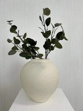 White vase with eucalyptus branches on the table Stock Photos