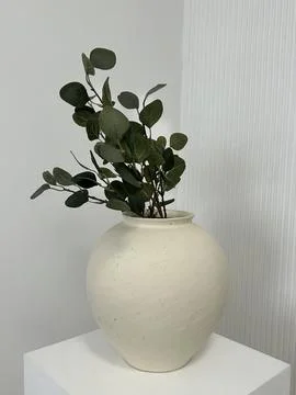 White vase with eucalyptus branches on the white table Stock Photos