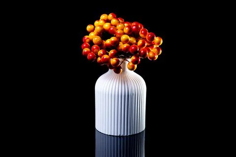 White vase with orange rowan with reflection, black background isolated, Stock Photos