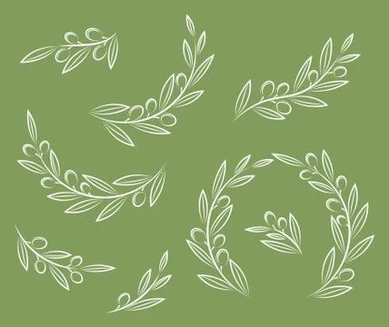 White vector branches with leaves and olives イラスト素材