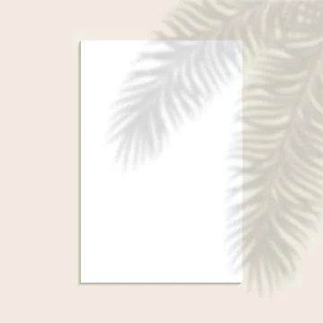 White vertical paper sheet with shadow overlay tropical palm leaf. Vertical.. Stock Illustration