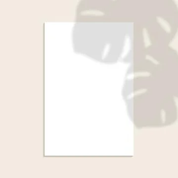 White vertical paper sheet with shadow overlay tropical palm leaf. Vertical.. Stock Illustration
