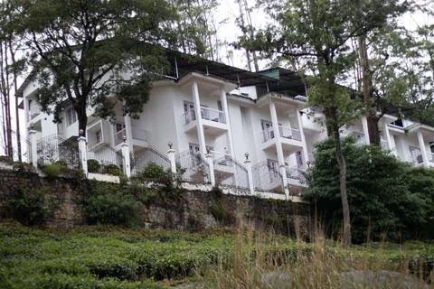 White villa with trees on all side Stock Photos
