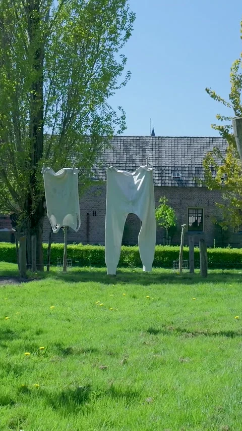 White vintage laundry drying in a sunny countryside backyard 库存影片 336497005