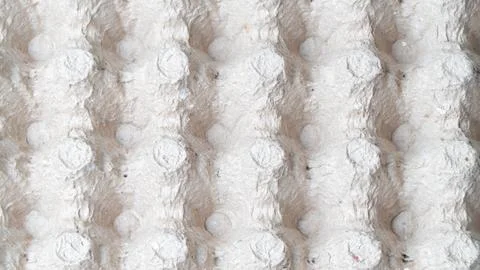 White volumetric texture egg rack white mesh background carton Stock Photos