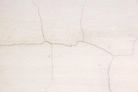 White wall background and texture from moss Stock Photos