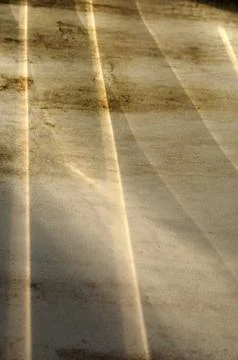White wall background and texture from moss Stock Photos