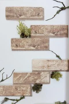 White wall with bricks and moss, decor interior Stock Photos