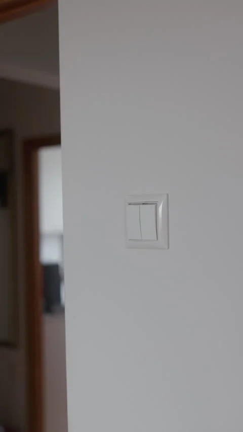 White wall light switch on clean interior hallway wall with soft natural blur in 動画素材 344824014