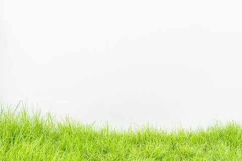 White wall Foto stock