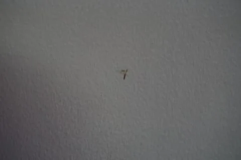 White wall Stock Photos