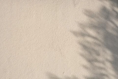 A white wall with a shadow of a tree on it Stock Photos