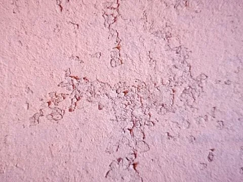 White wall with textured plaster make up Stock Photos