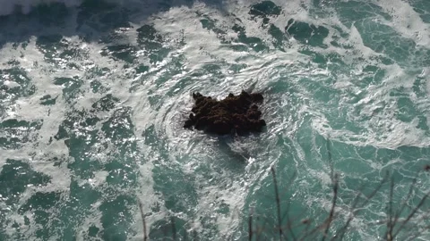 White ware wave rolling over uncovered part of a dark colored reef in Stock Footage 146350670