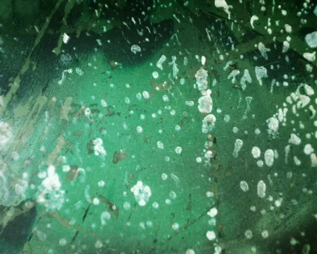 White Wash Видео 105309