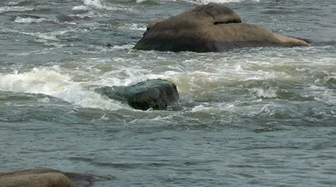 White water and river rocks Stock Footage 11019904