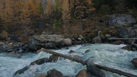 White Water Cascading Shallow Stream Flowing Between Grey Rocks In Siberian Stock Footage 70961011