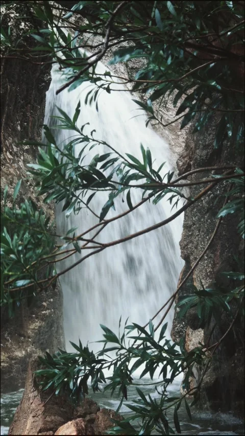 White water flows down rocks in a wild environment Stock Footage 304030519