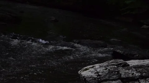 White water Video stock 76167691