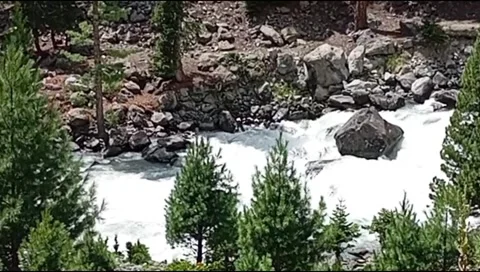 White water mountain river flowing over rocks with pine trees in Swat. Stock Footage 345564173
