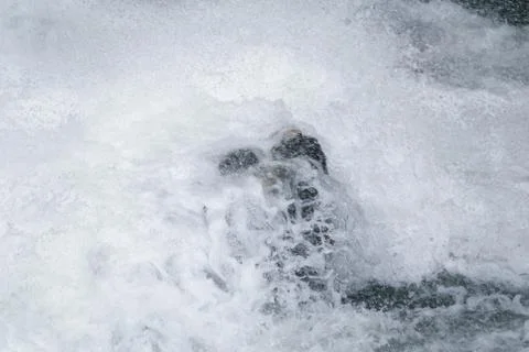 White water Stock Photos