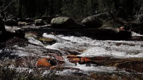 White Water Rapids Merced River Yosemite California Stock Footage 209687341
