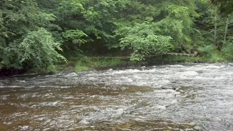 White water rapids in the River Braan, Scotland Stock-Footage 201338251