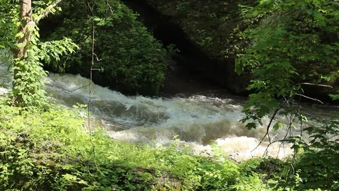 White Water Rapids Rush Through Forest Stream Stock Footage 106675490
