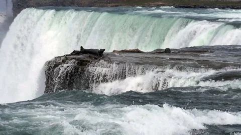 White Water Rapids Rushing Down Niagara Falls in Slow Motion Stock Footage 73040176
