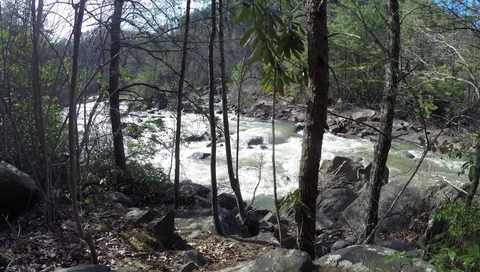 White Water Rapids rushing through trees 2.7K HD HQ Видео 73125204