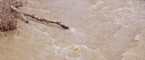White Water River Flowing Stock Footage 170863169