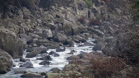 White Water River Video stock 80812355