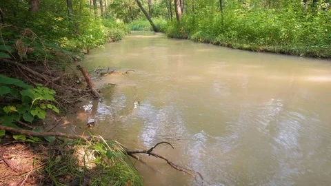 White water river in forest Stock-Footage 92877593