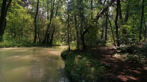 White water river in forest Stock Footage 92877658