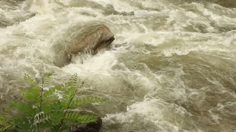 White water roaring fast Stock Footage 51110375
