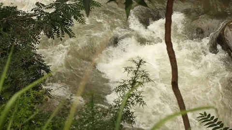 White water roaring fast, with grass and branch in the foreground Stock Footage 51110130