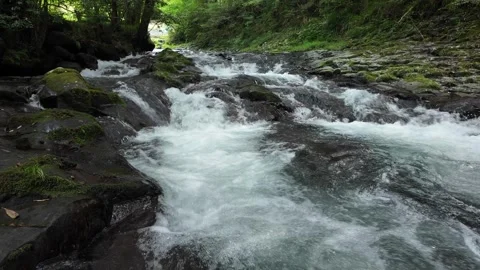 White Water Rushing Down a Forest Stream, Izu, Japan (4K) Stock Footage 341364869